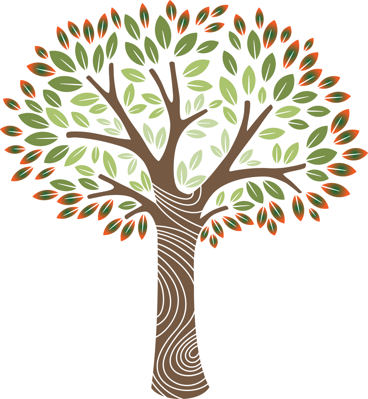 PLTC Logo Click here to go to the PLTC Home Page